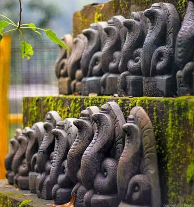 naga, naga tantra, naga vidya, ashta nagas, vasuki naga, ananta naga, kulika naga, shankhapala naga, takshaka naga, padma naga, mahapadma naga & karkotaka naga