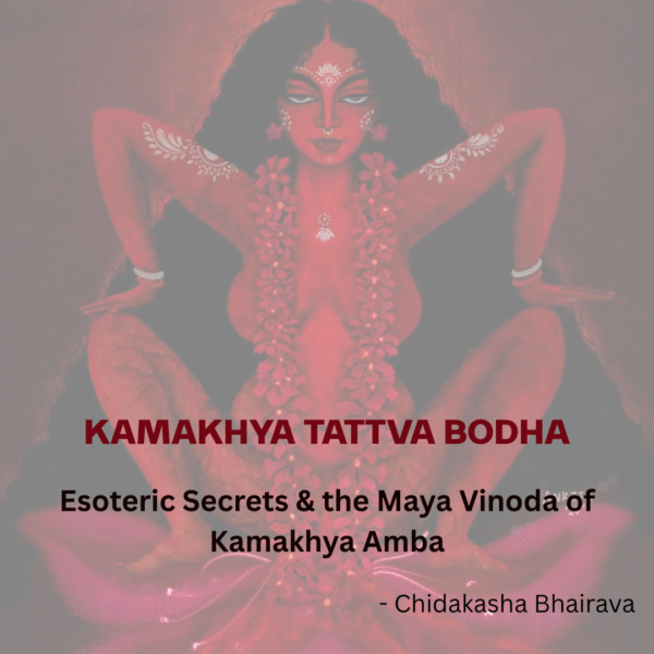 KAMAKHYA TATTVA BODHA - Not a myth retelling — a revelation of Kamakhya’s living, guarded truth