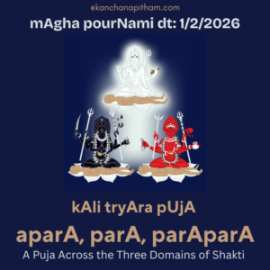kali tryara puja - para, apara, parapara