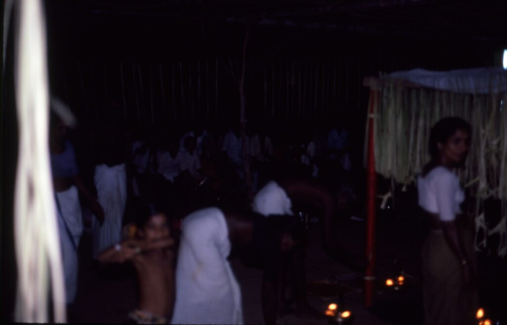 Pulluvar of Kerala: Naga Vidya, Naga Rituals and the Trance of Sarpam Thullal